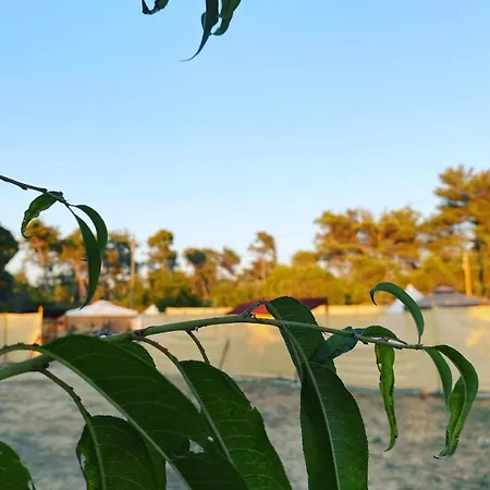 Glamping Ancora Glamping Experience *